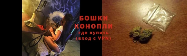 крисы Бородино