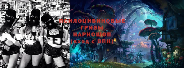 прущая мука Богородицк